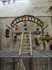 Cage Over Play Gym with Multiple Hanging Toys & Bowls