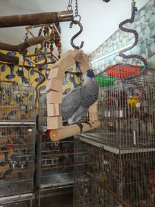 Natural Wood Swing