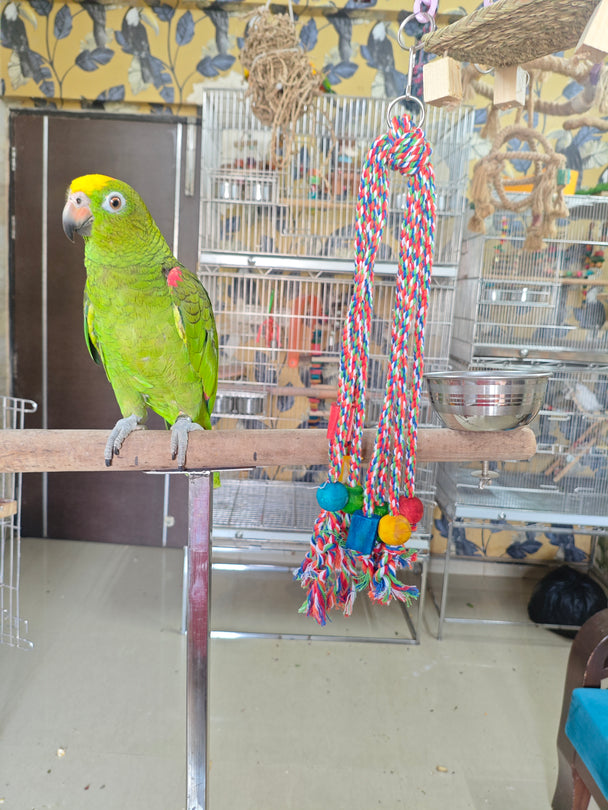 Rope and wooden Bits