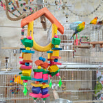 Hut Swing & Chewing Fun