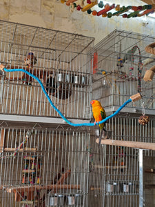 Rope Perch
