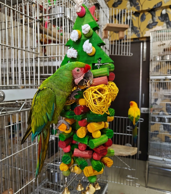 Chrishtmas Tree Themed Toy