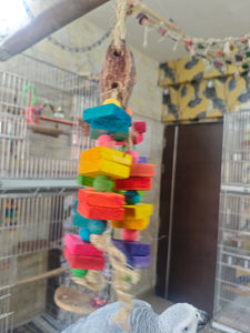 Mahagonay Pod Chewing Toy