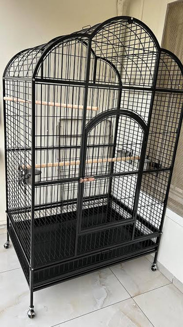 Cage A24