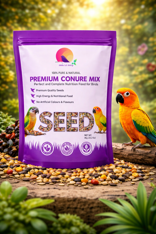 Premium Conure Seed Mix