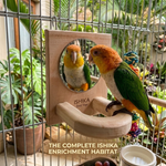 Reflect & Perch Mirror Toy