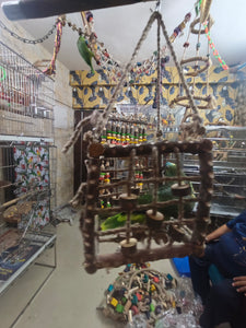 Neem Wood Box Playing Toy