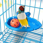 Mini Bird Bath Tub