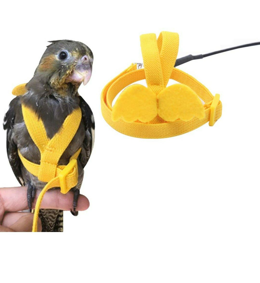 Pet Harness Rope Bird Leash for Conures Parrot Flying Harness Conure  Harness