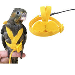 Parrot Harness (Free Flying Rope)